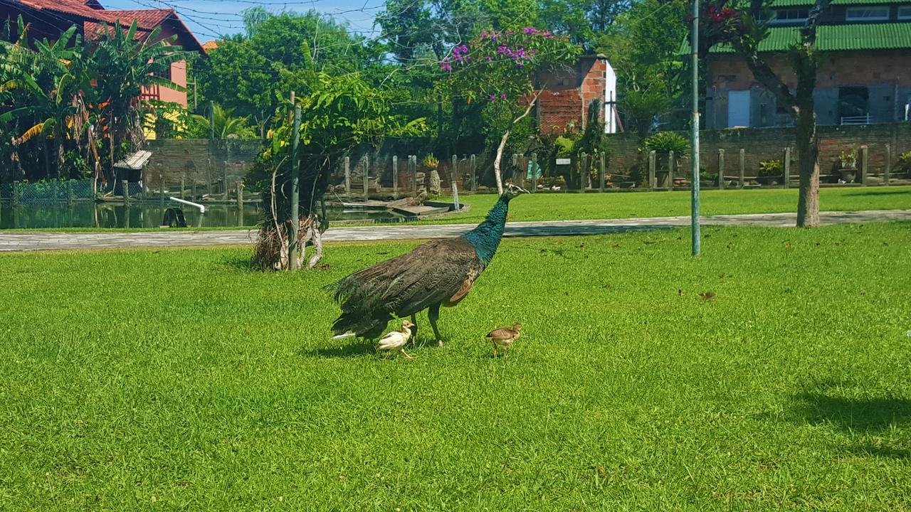 Pousada Pavao Branco Florianópolis Dış mekan fotoğraf