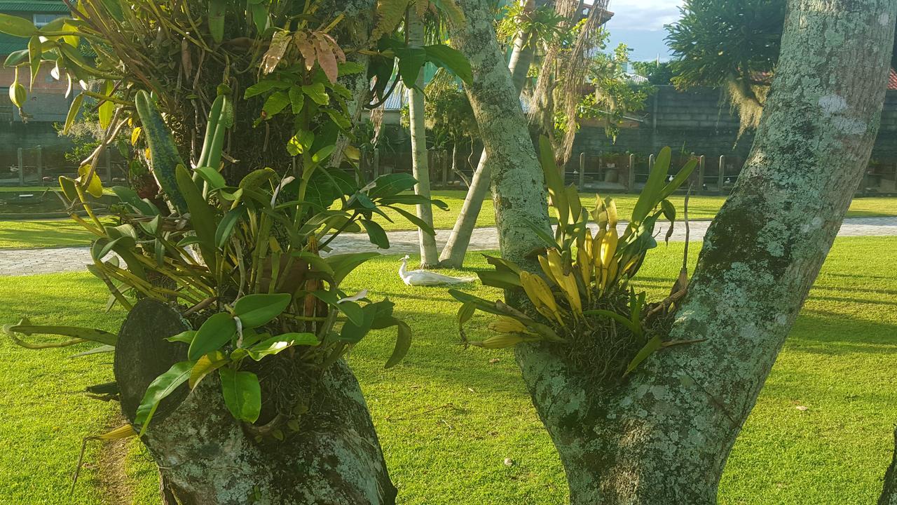 Pousada Pavao Branco Florianópolis Dış mekan fotoğraf