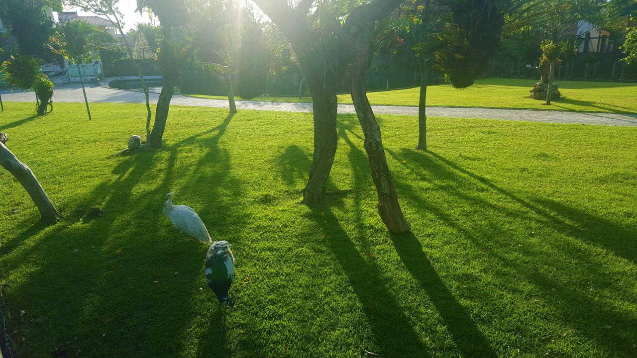 Pousada Pavao Branco Florianópolis Dış mekan fotoğraf