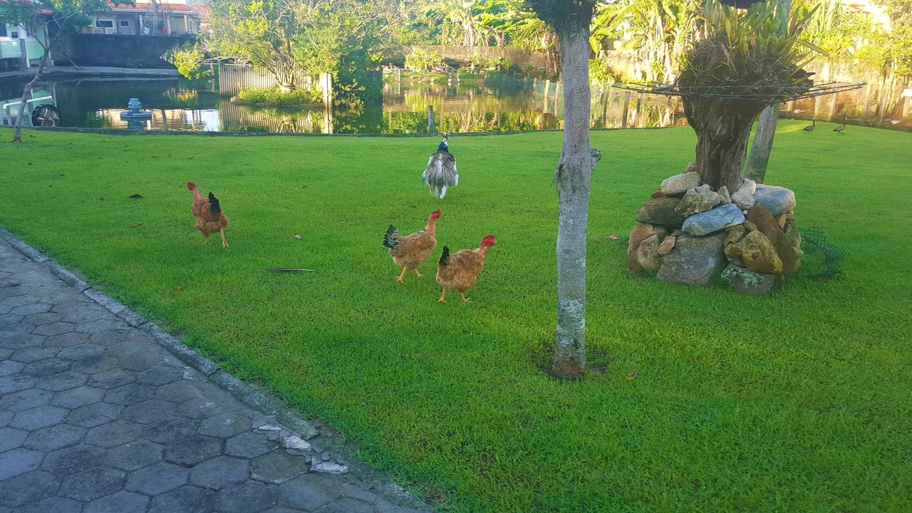 Pousada Pavao Branco Florianópolis Dış mekan fotoğraf