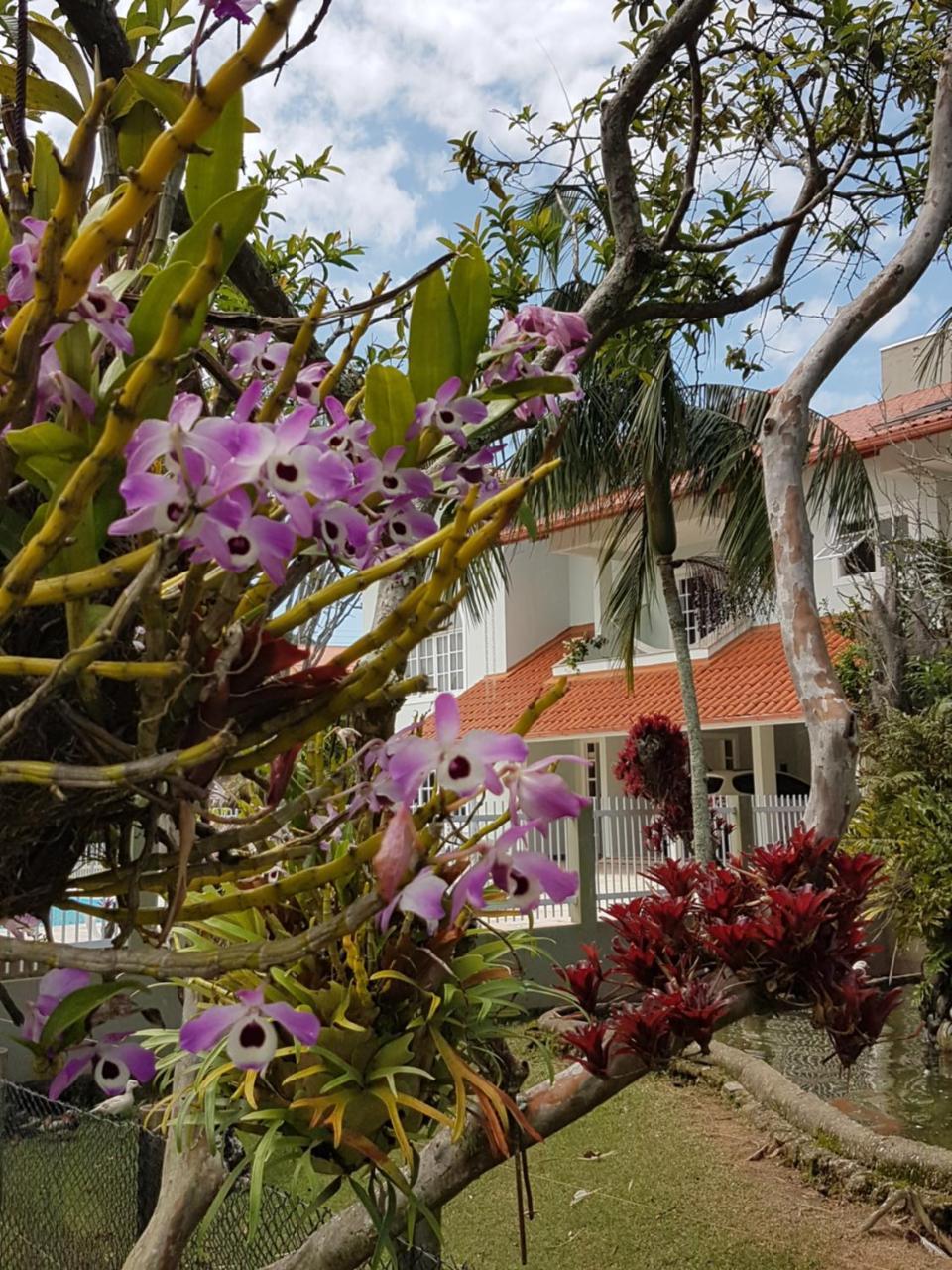 Pousada Pavao Branco Florianópolis Dış mekan fotoğraf
