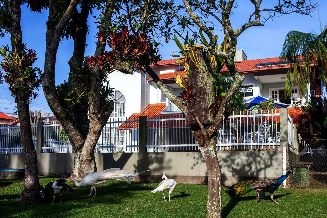 Pousada Pavao Branco Florianópolis Dış mekan fotoğraf