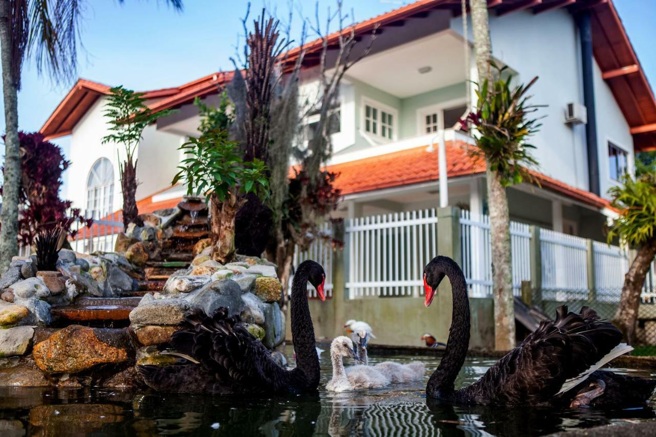 Pousada Pavao Branco Florianópolis Dış mekan fotoğraf